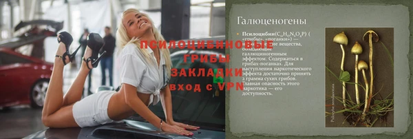 гашик Алексеевка