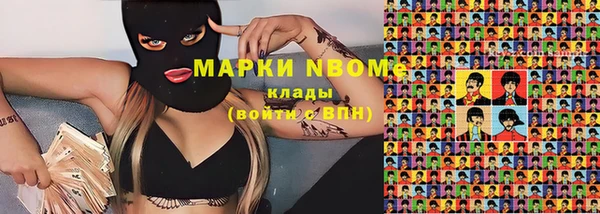 гашик Алексеевка