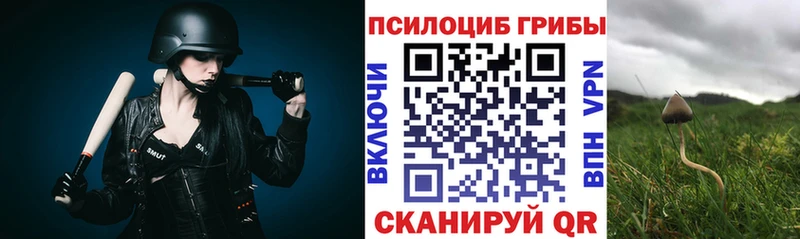 что такое   Петровск  Галлюциногенные грибы Cubensis 