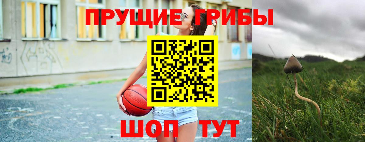 Галлюциногенные грибы GOLDEN TEACHER Петровск