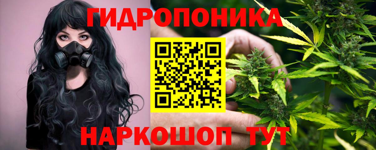 Конопля THC 21%  Вход с VPN  Марихуана LSD WEED  Бошки Шишки SATIVA & INDICA  Шишки марихуана гибрид  Петровск 